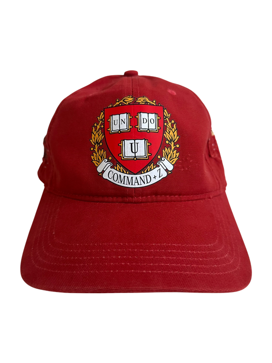 *1 of 1* Patchwork Cap